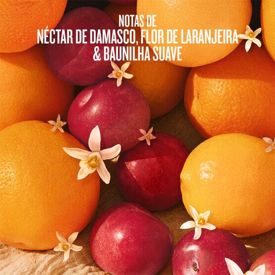 CHEEKY BIQUINI SUMMER LE MIST